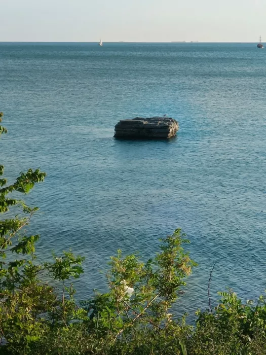 ​Компания по организации морских прогулок и экскурсий по городу "Командор"