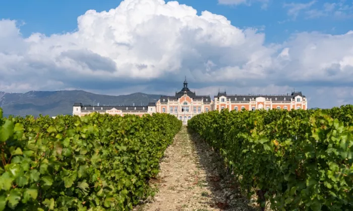 Винодельня Chateau de talu