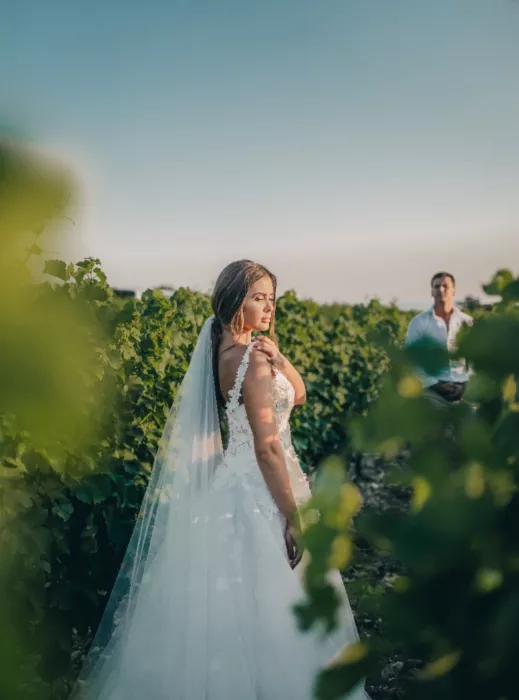Винодельня Chateau de talu