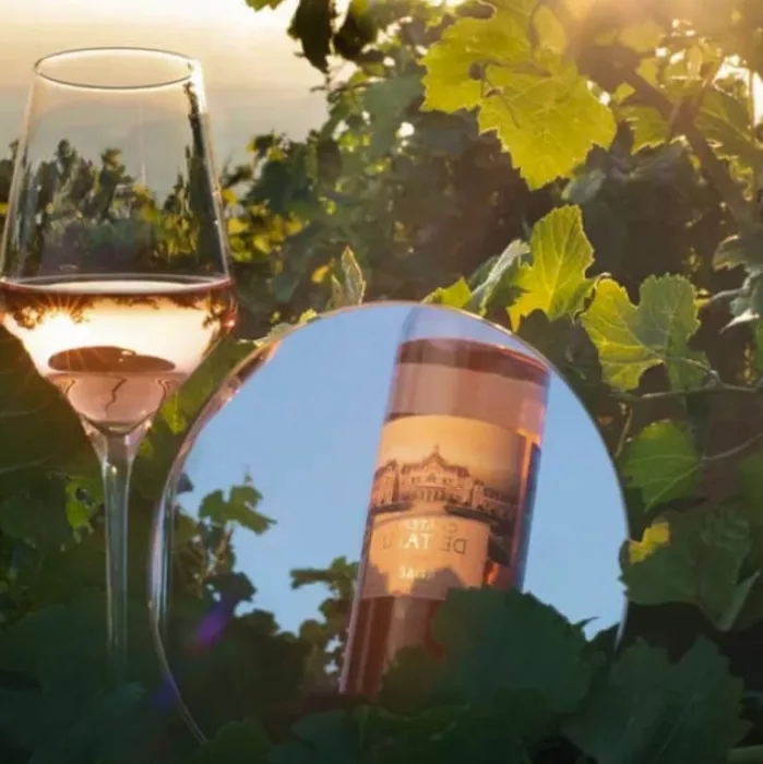Винодельня Chateau de talu