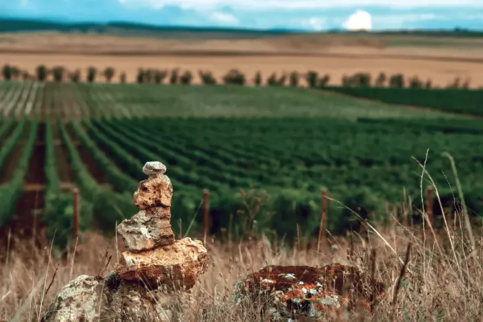 Винодельня Alma Valley