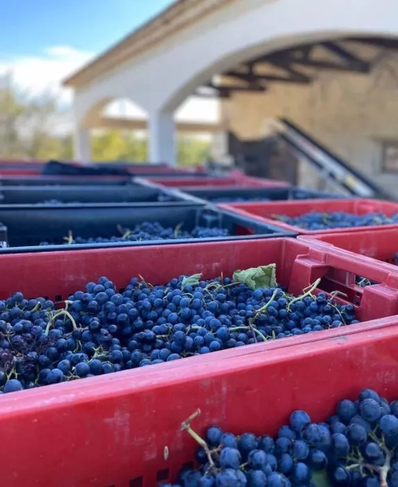 Семейная винодельня Chateau Andre