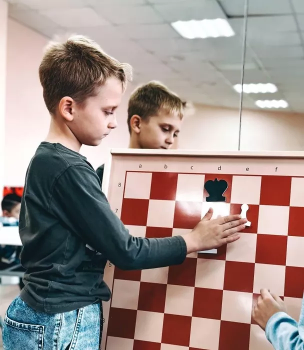 Шахматная школа Белая Ладья