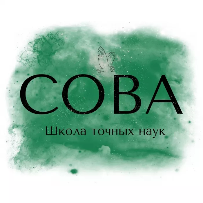 Детский математический клуб Сова