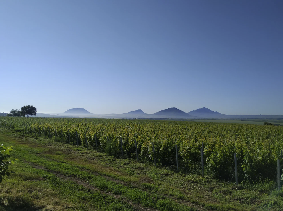 Винодельня "Tempelhof Winery"