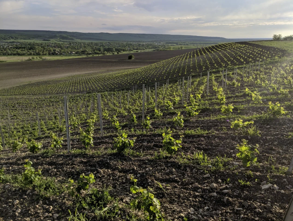 Винодельня "Tempelhof Winery"
