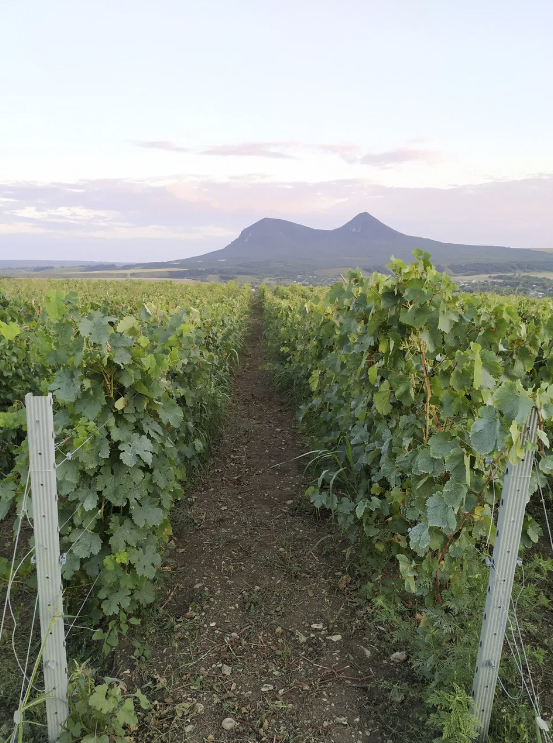 Винодельня "Tempelhof Winery"