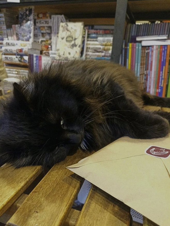 ​Книжный магазин "Кот учёный"