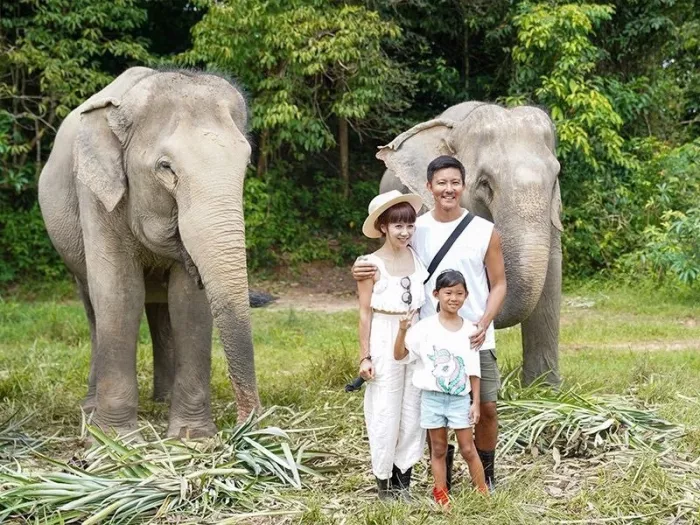Заповедник «Bukit Elephant Park»