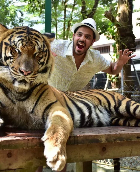 Заповедник «Tiger Kingdom»