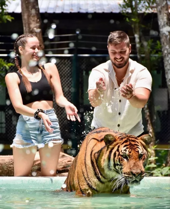 Заповедник «Tiger Kingdom»