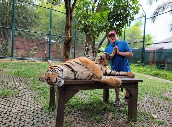 Заповедник «Tiger Kingdom»