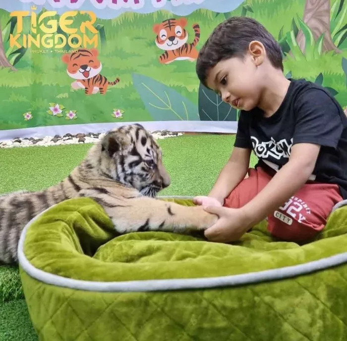 Заповедник «Tiger Kingdom»