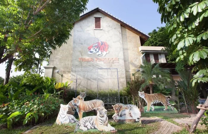 Заповедник «Tiger Kingdom»
