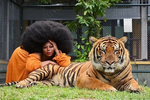 Заповедник «Tiger Kingdom»