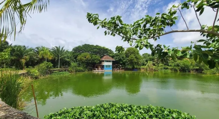 Рыболовный Пруд «Monster Fishing Park Phuket»