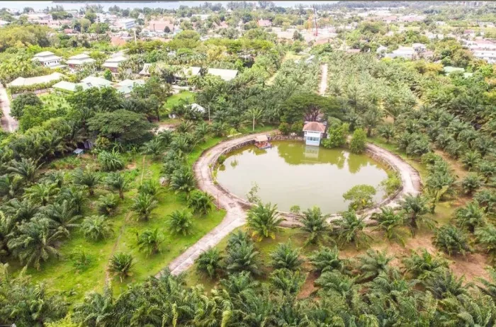 Рыболовный Пруд «Monster Fishing Park Phuket»