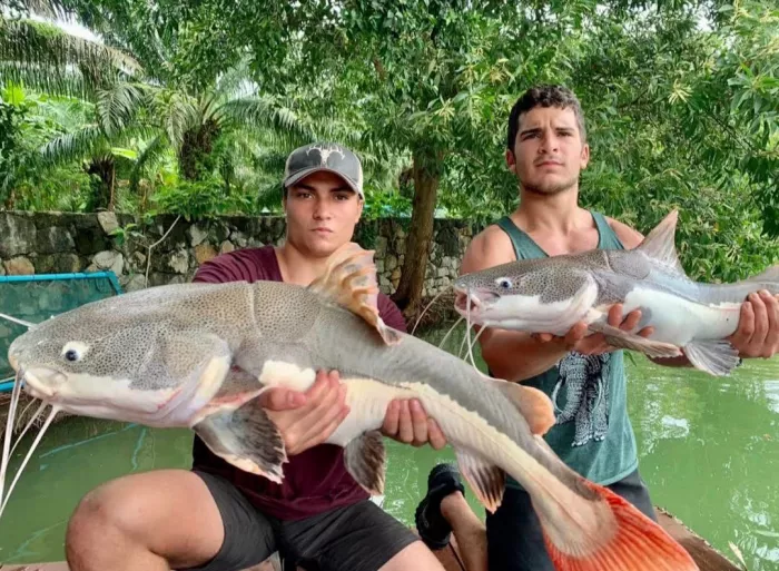 Рыболовный Пруд «Monster Fishing Park Phuket»
