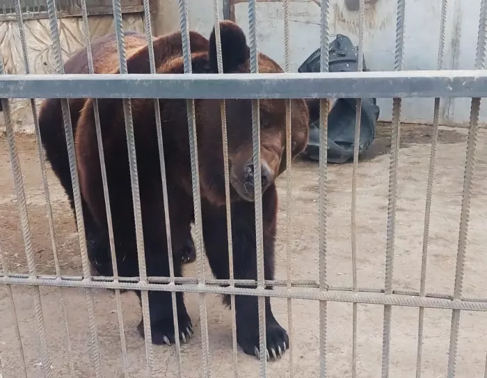 Центр семейного отдыха "Баба Фрося" в селе Иванчуг