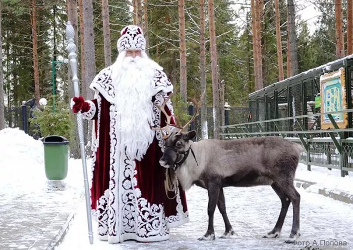 "Зоосад Деда Мороза"