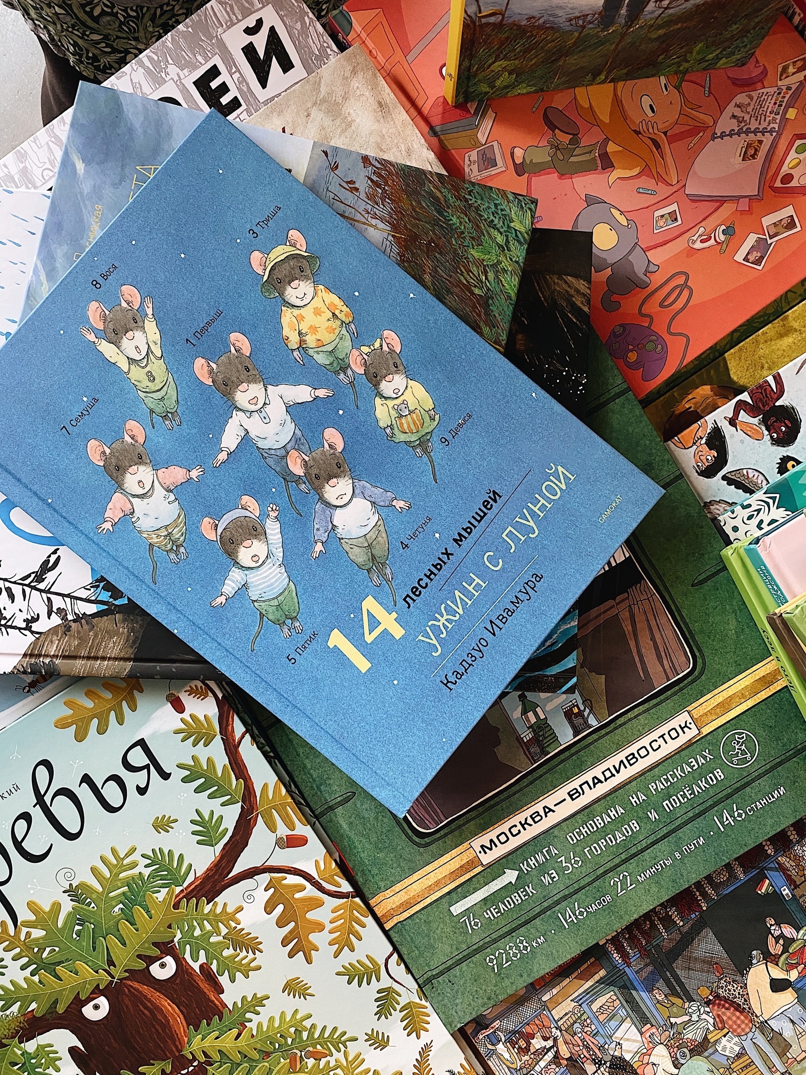 Книжный магазин "Самокат"