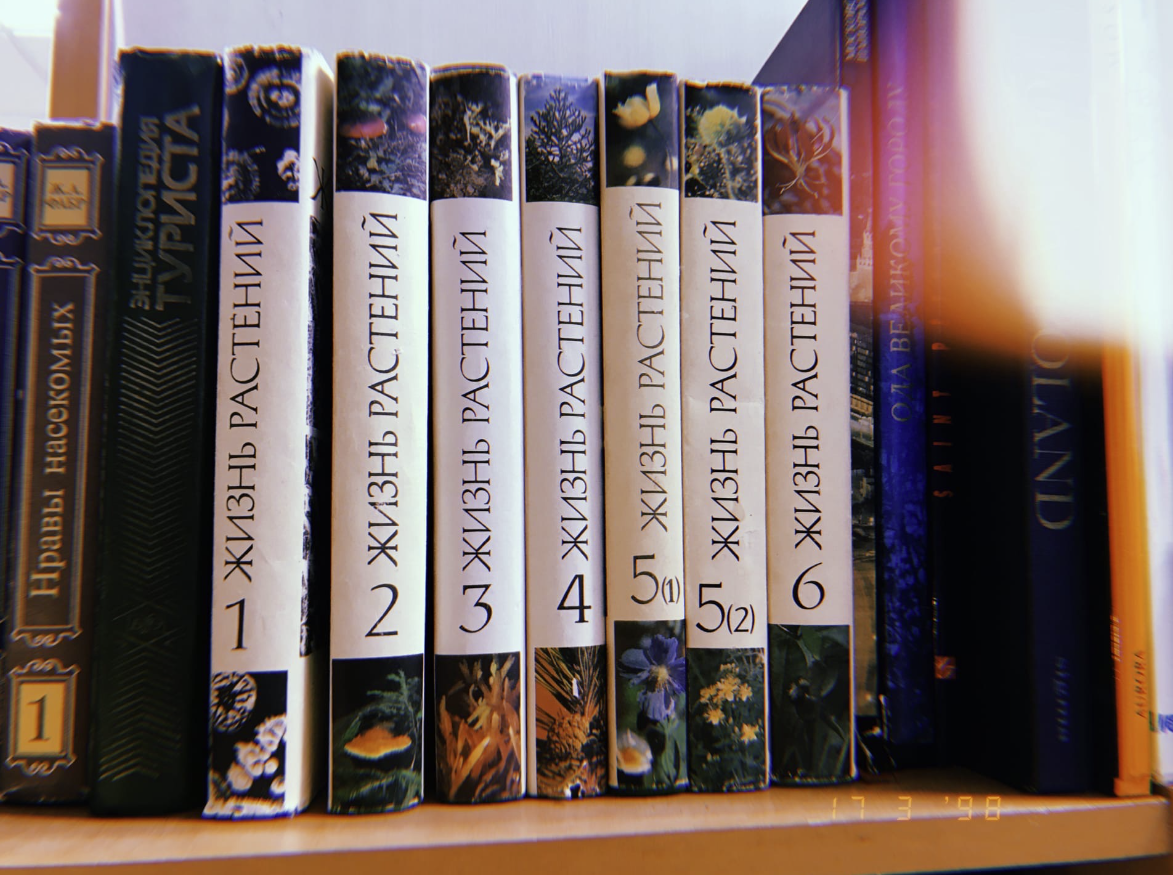 ​Букинистический магазин "Книжная Лихорадка"