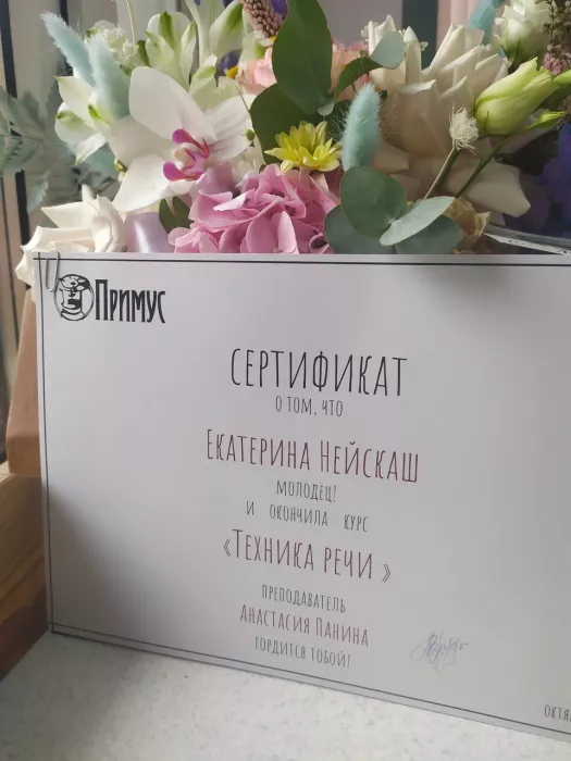 Курсы "Примус"
