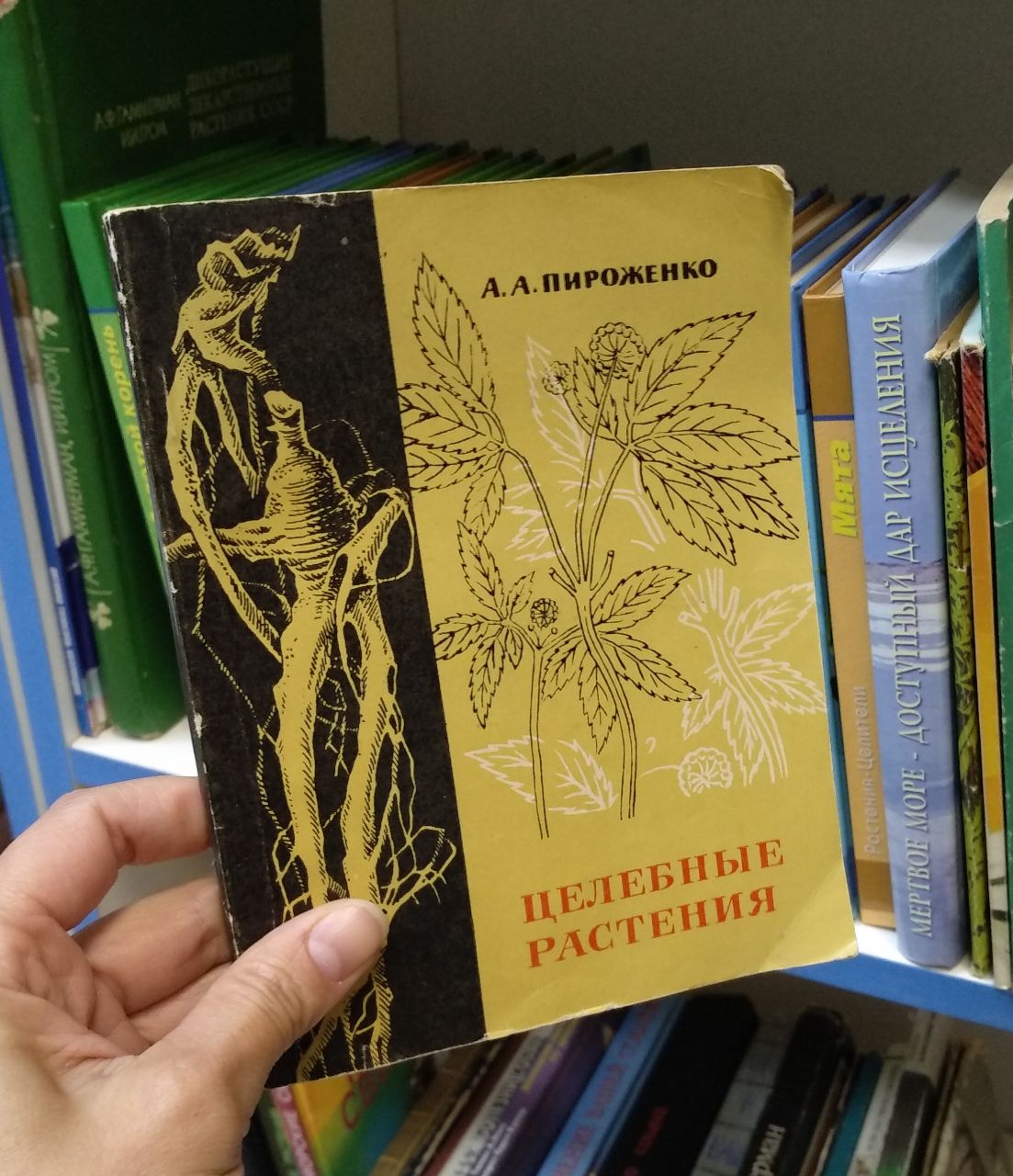 ​Магазин старой и коллекционной книги "Раскольниковъ"
