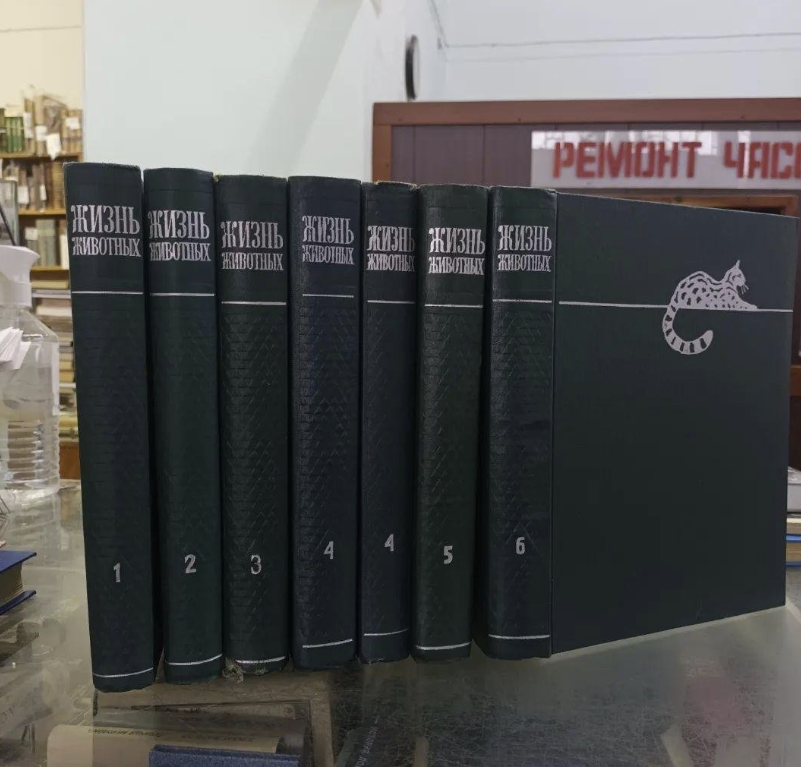​Букинистический магазин "Старая книга"