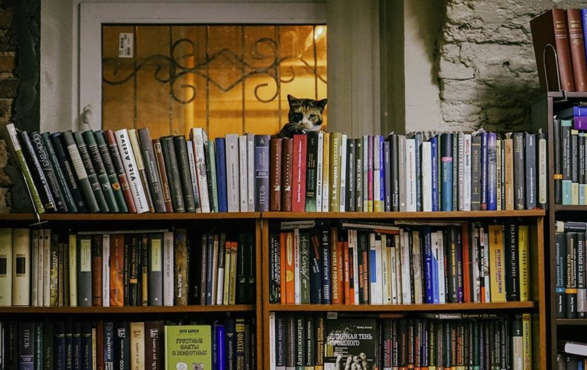 Книжный магазин "Свои книги"