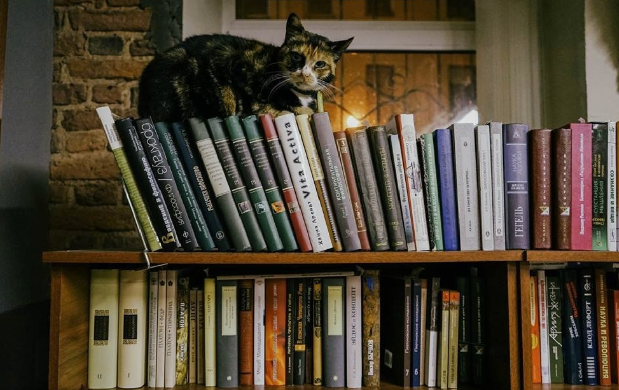 Книжный магазин "Свои книги"