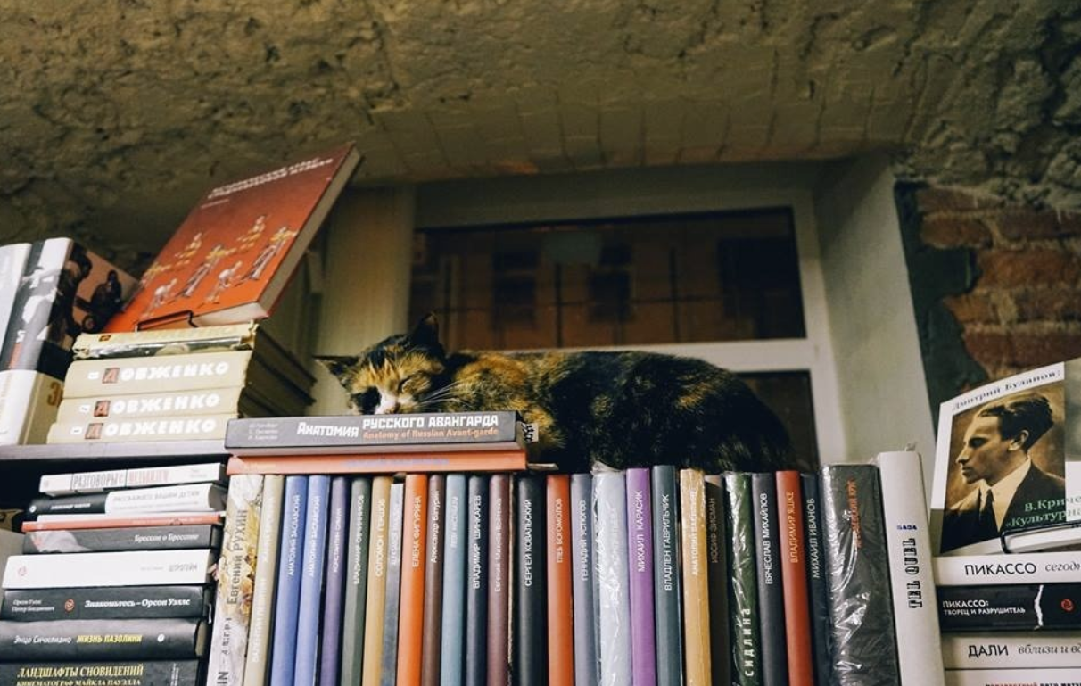 Книжный магазин "Свои книги"