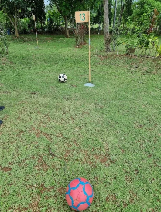 Гольф-Клуб «Football Crazy Golf»