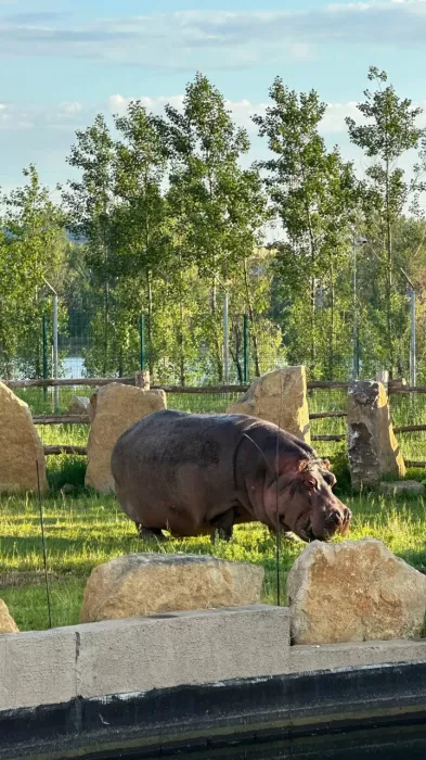 "Казанский зооботанический сад"