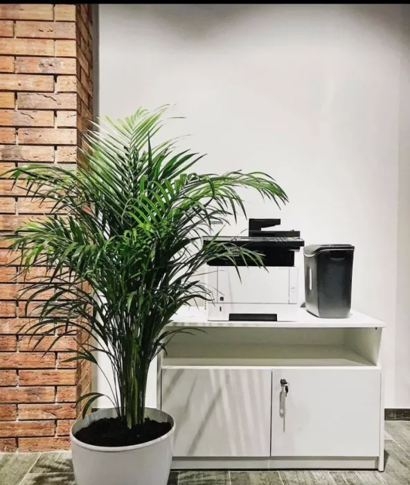 Коворкинг -центр Bureau open office 