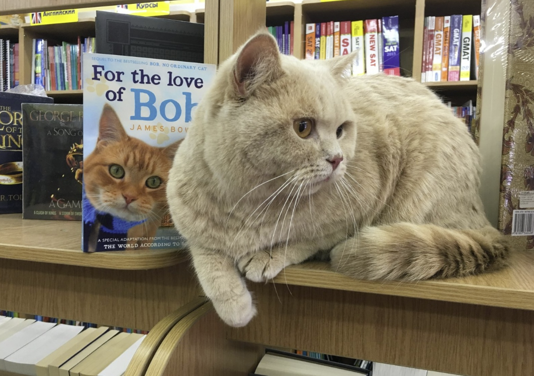 ​Магазин иностранной книги "Магеллан books"
