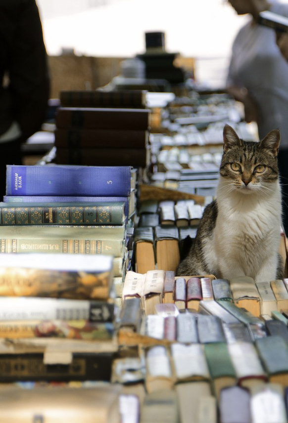 Книжный магазин "Книжная находка"