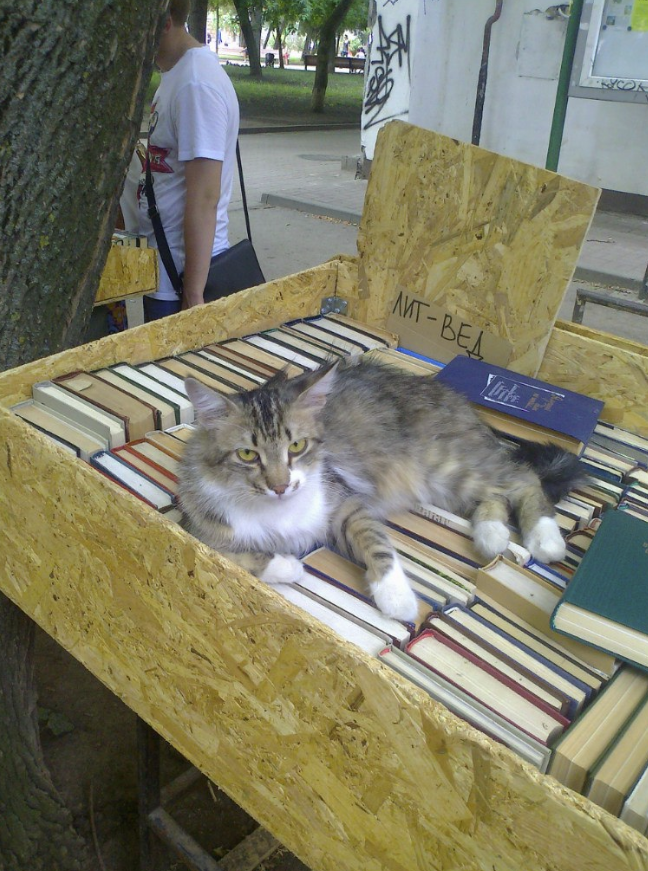 Книжный магазин "Книжная находка"