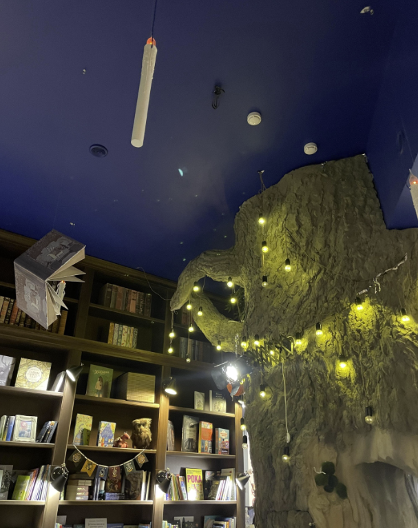 ​Детский книжный магазин "Бубумник"