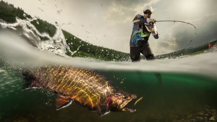 Salmo. Товары для рыбалки