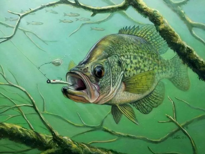 MasterFish. Товары для Рыбалки