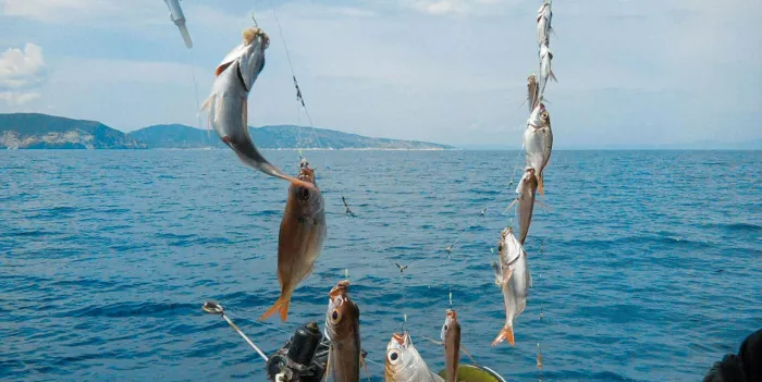 Морская рыбалка. Рыболовный клуб