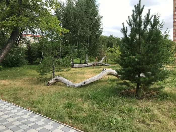 "Детский зоопарк"