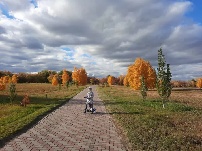 Лесопарк "Птичья гавань"