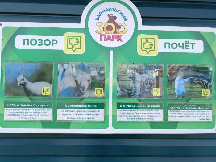Зоопарк "Лесная сказка"
