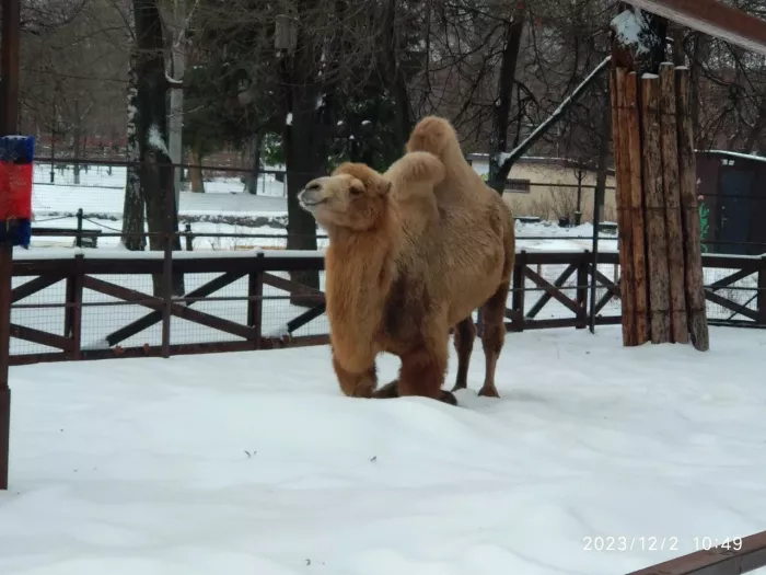 "Воронежский зоопарк имени А.С. Попова"