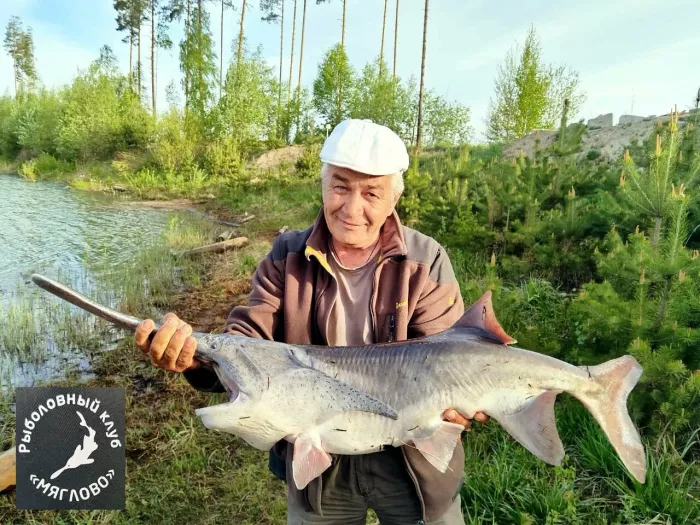 Культурно-рыболовное Хозяйство Мяглово. Рыболовный Клуб