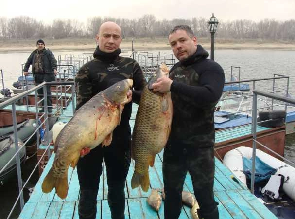 Поплавок. Рыболовный Клуб