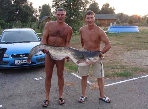Поплавок. Рыболовный Клуб