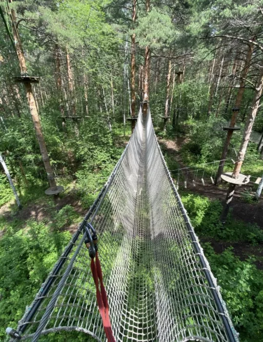 Парк развлечений Sequoia park